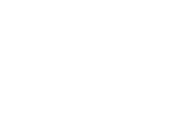 HoStory Logo